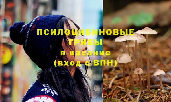 дурь Аркадак