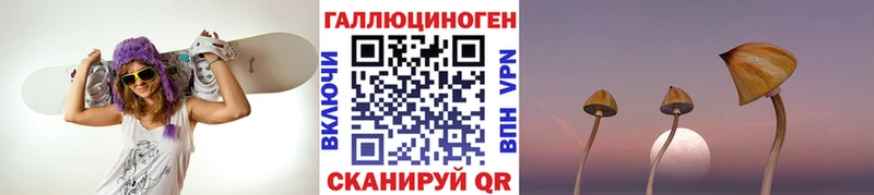 блэк спрут как зайти  Лукоянов  Галлюциногенные грибы Psilocybe 